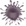 jewel5322826